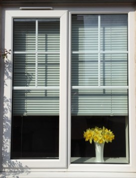 Flowers in the Window