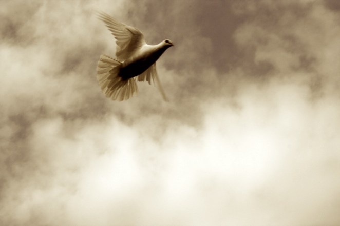 Archipelago - flight