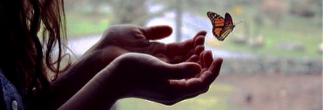 Elusive Butterfly - hands