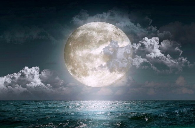 sea moon