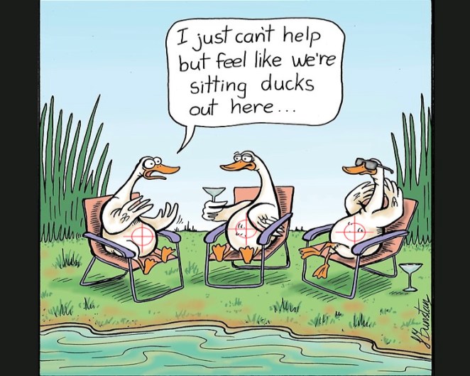 sitting ducks - in my sights.jpg